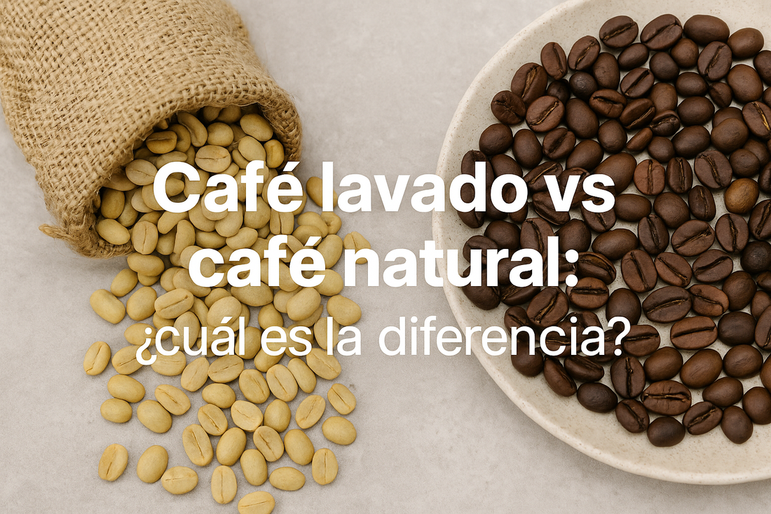 Café lavado vs café natural: ¿cuál es la diferencia?
