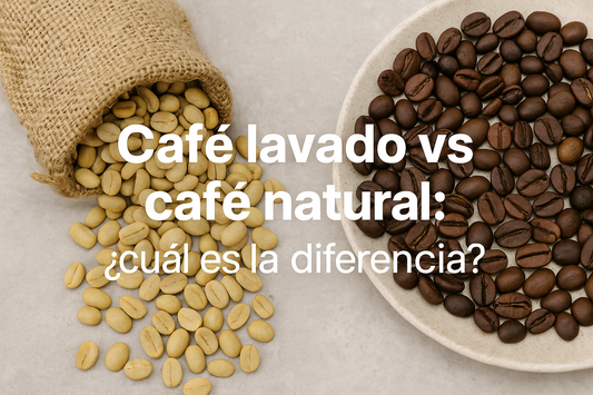 Café lavado vs café natural: ¿cuál es la diferencia?